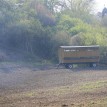 Plocha je připravena - Plocha je připravena, oseta a do sadu přibyli vzácní hosté...
