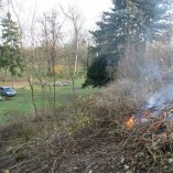 Stromky v sadu, jabloně, hrušně, švestky, renklody, višně, ořechy a jedlý kaštan -  