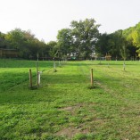 Barevný podzim v sadu - Podzim v Toušeňské zahradě rozhodně není smutný...  