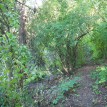 Podzim 2012 v sadu - 