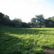 Podzim 2012 v sadu - 