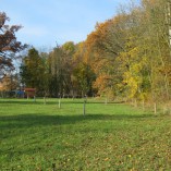 Barevný podzim v sadu - Podzim v Toušeňské zahradě rozhodně není smutný...  