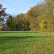 Barevný podzim v sadu - Podzim v Toušeňské zahradě rozhodně není smutný... 