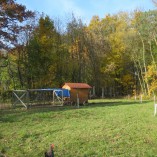 Barevný podzim v sadu - Podzim v Toušeňské zahradě rozhodně není smutný...  