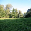 Podzim 2012 v sadu - 