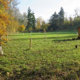 Barevný podzim v sadu - Podzim v Toušeňské zahradě rozhodně není smutný...  