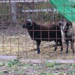 Barevný podzim v sadu - Podzim v Toušeňské zahradě rozhodně není smutný... 