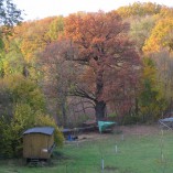 Barevný podzim v sadu - Podzim v Toušeňské zahradě rozhodně není smutný...  
