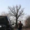 Budování Toušeňské zahrady - Započetí prací, nejdříve je třeba odhalit vlastní reliéf pozemku, to...