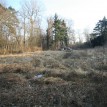 Budování Toušeňské zahrady - Započetí prací, nejdříve je třeba odhalit vlastní reliéf pozemku, to...